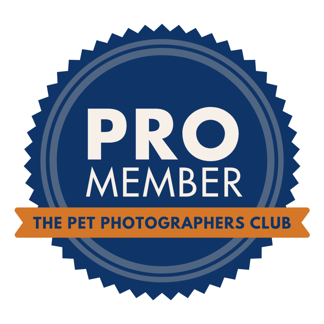 PPC MEMBER+BADGES[1063]